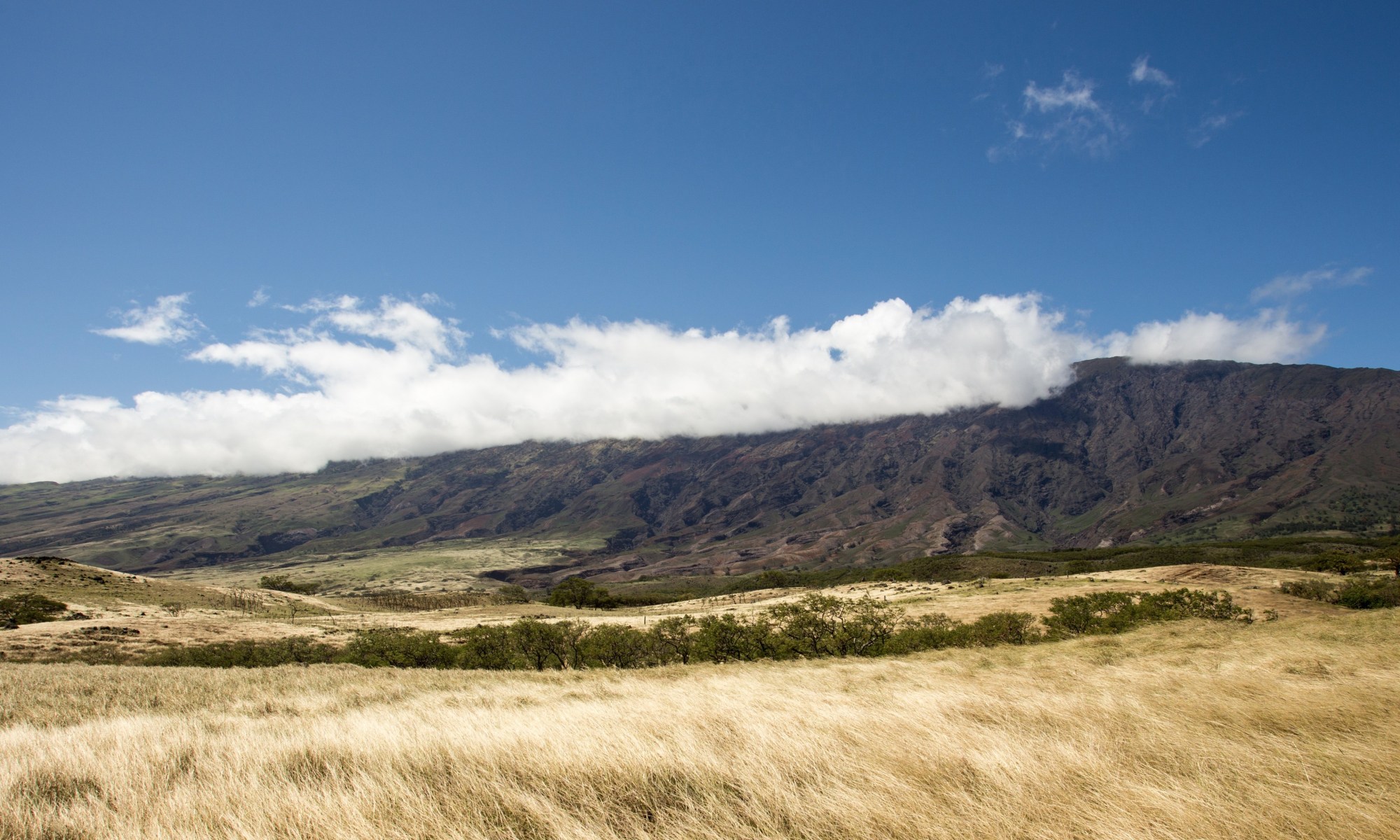 Photo by Jason Ortego on Unsplash