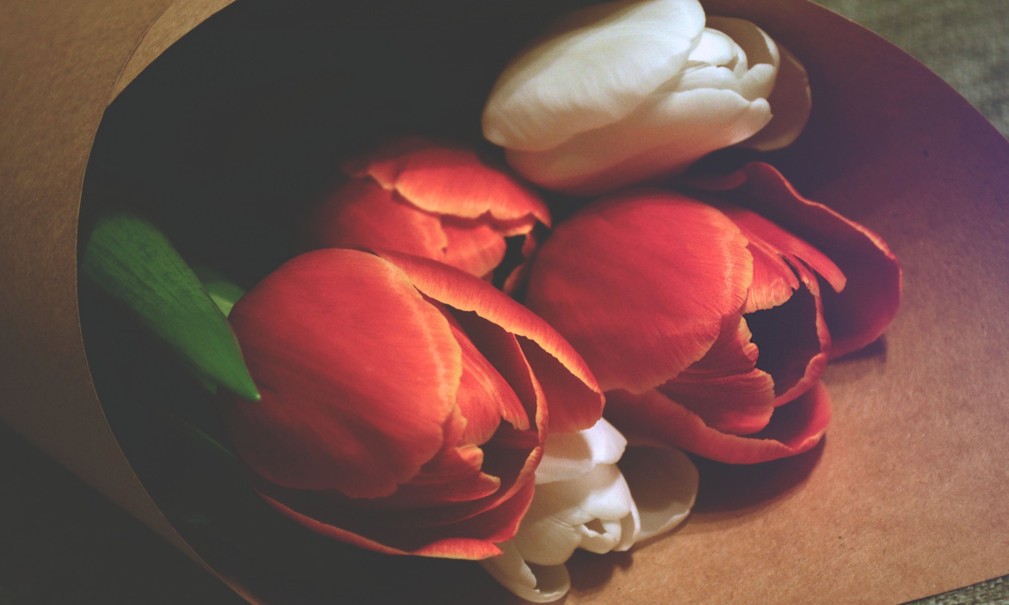 Photo by Daria Sukhorukova on Unsplash