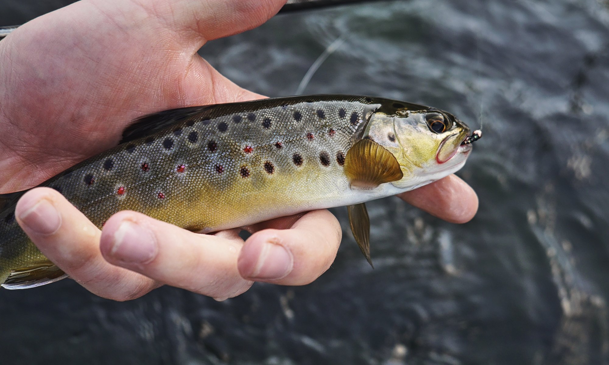 Photo by Michael Yero on Unsplash